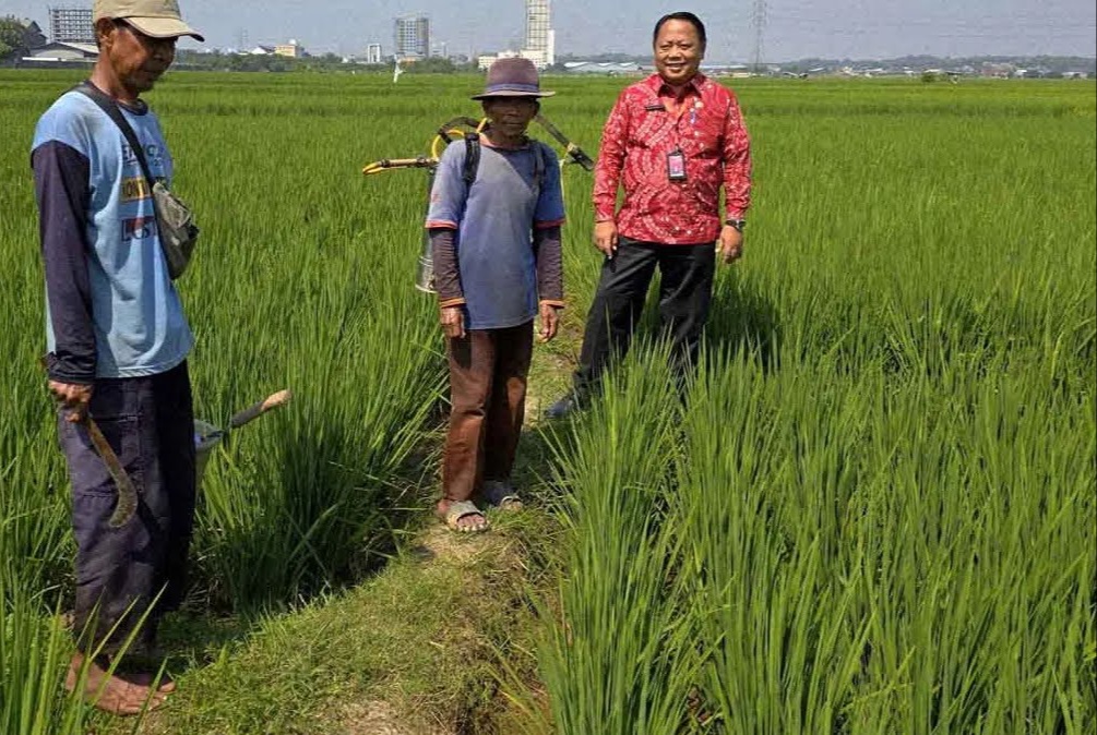 Ini Jurus Pemkab Bekasi Soal Konversi Sawah Diganti Lahan Baru Setara 
