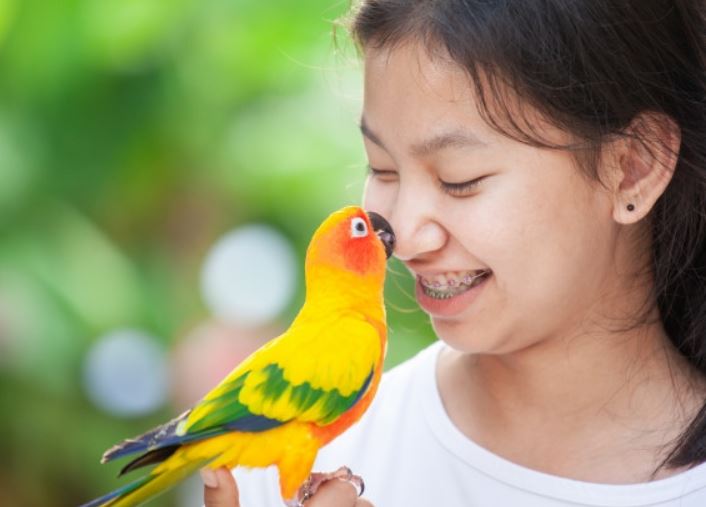 Ternyata Main Burung Baik Untuk Kesehatan Mental