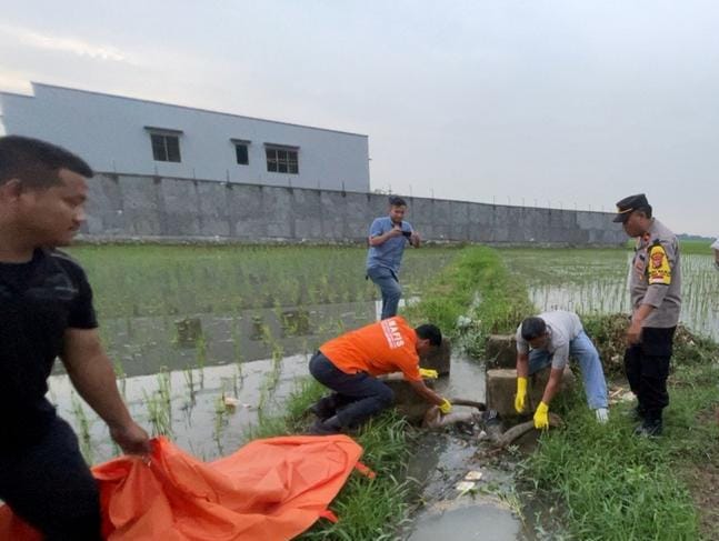 GEGER, Mayat Tanpa Identitas Ditemukan di Saluran Air Persawahan Pasirjengkol