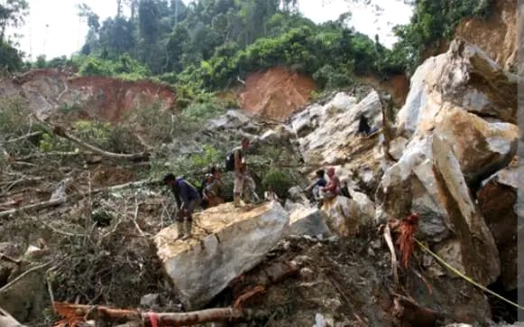 Longsor Tambang Emas Ilegal di Solok: 15 Meninggal Dunia Puluhan Lainnya Masih Tertimbun