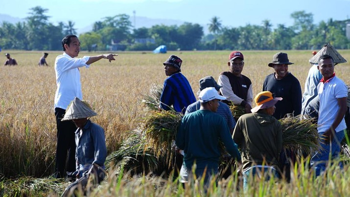 Krisis Regenerasi di Sektor Pertanian Indonesia
