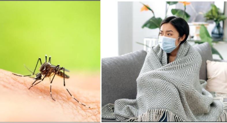 Waspada Gejala DBD di Musim Hujan: Bedanya dengan Demam Biasa dan Cara Penanganannya