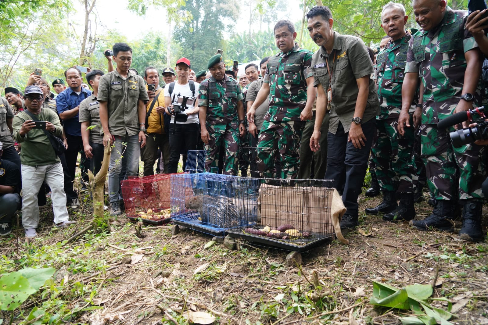 Komitmen TNI AD pada Kelestarian Alam, Kasad dan Pangkostrad Lepasliarkan Satwa Dilindungi ke Habitat Aslinya
