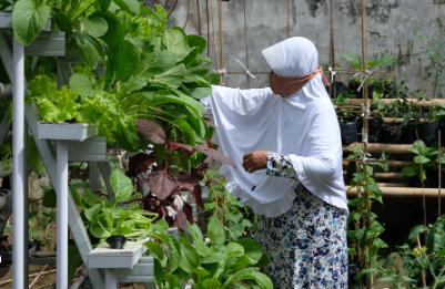 8 Media Tanam Unik Cocok Dijadikan Hidroponik, Berikut Cara Menggunakanya