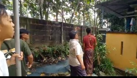 TEROR MONYET LIAR DI TARUMAJAYA,  Punggung Balita Robek Dijahit 26 Jahitan