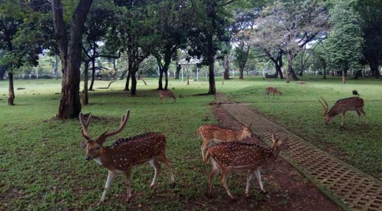 Dinas Cipta Karya Mulai Revitalisasi Ruang Terbuka Publik di Tambun
