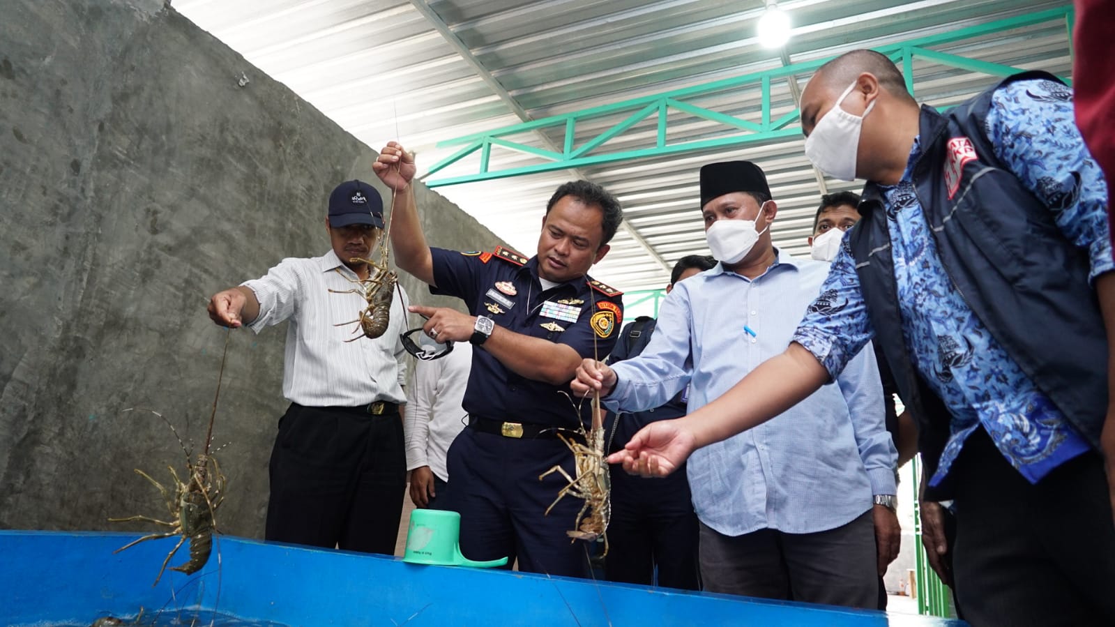KKP Sudah Identifikasi Pola Penyelundupan BBL di Pulau Jawa dan Sumatera