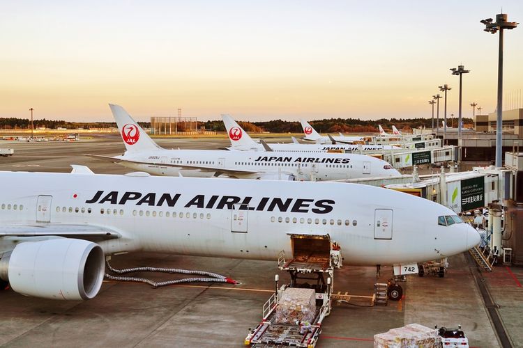 Benarkah Japan Airlines Tawarkan Tiket Gratis Keliling Jepang? Ketahui 5 Tips Ini agar Tidak Termakan Hoax