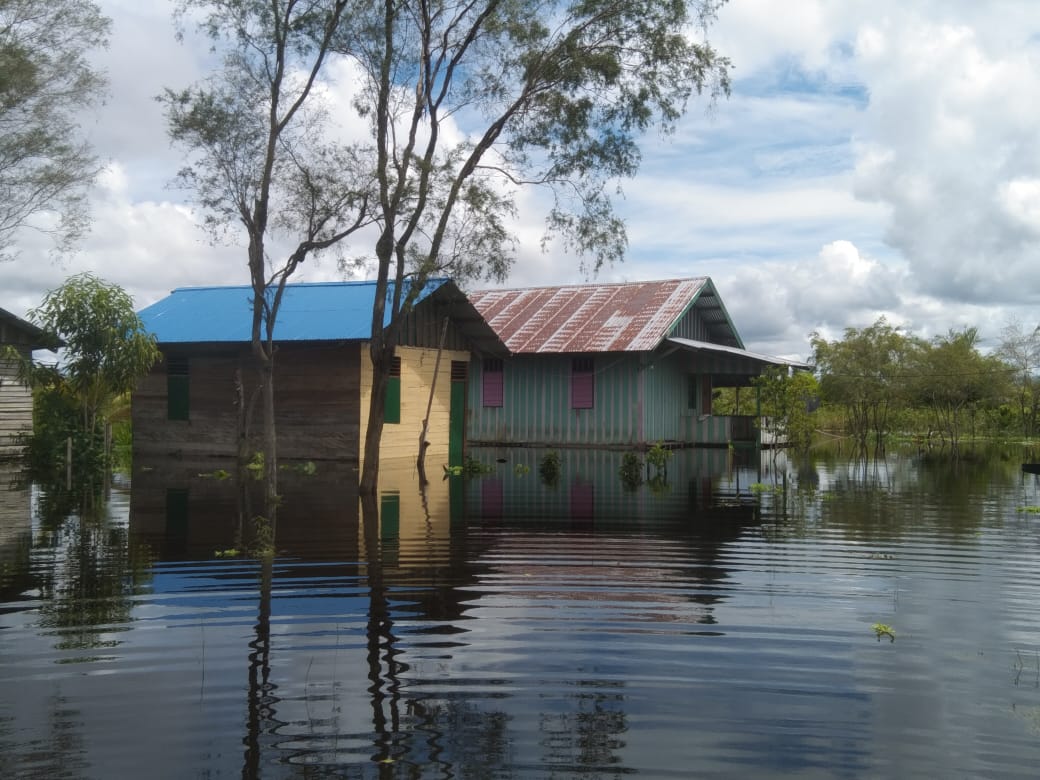 637 Warga Distrik Obaa Mappi Kebanjiran, BNPB : Hindari Air Banjir Karena Terkotaminasi Zat Berbahaya