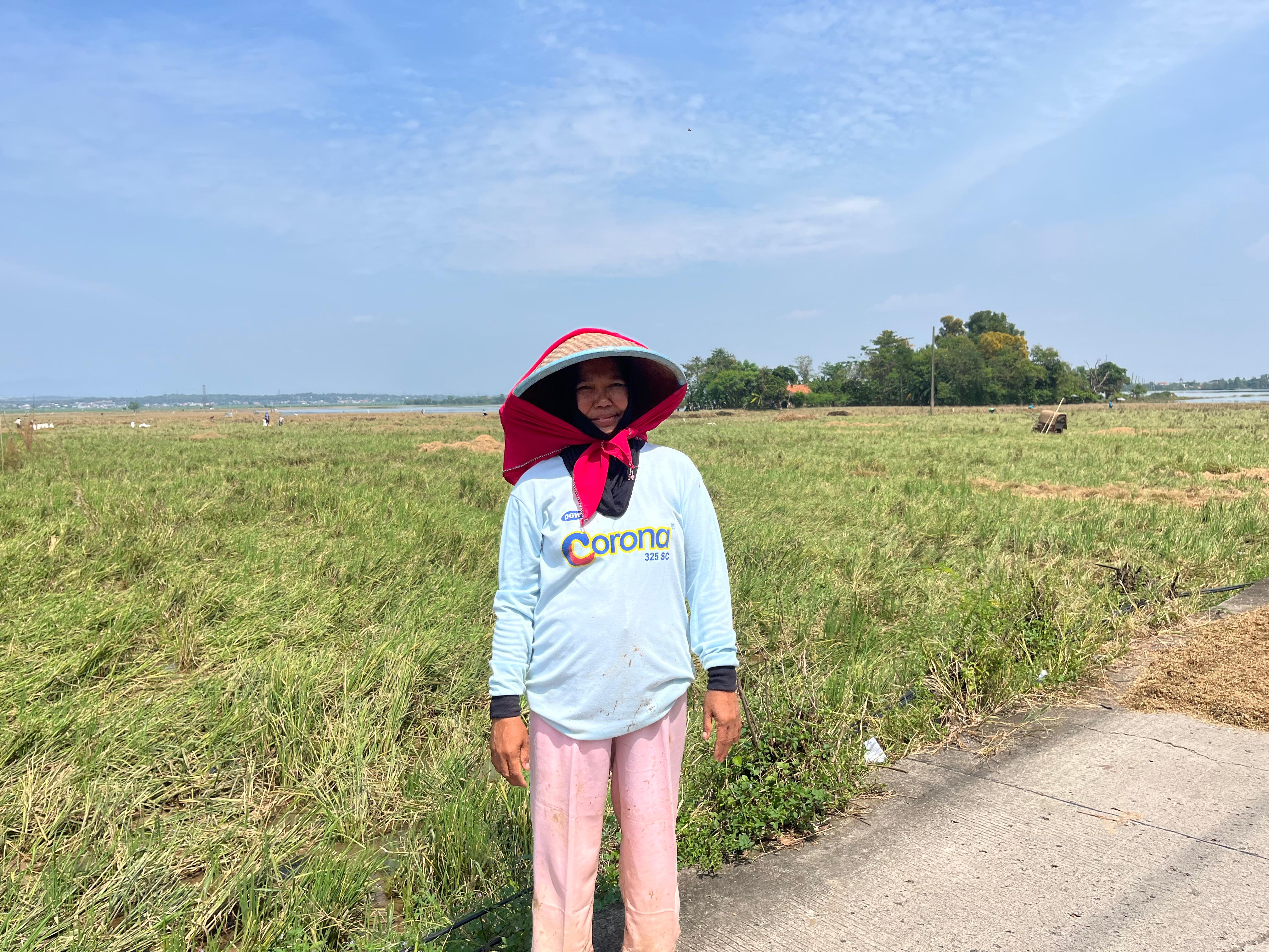 Banjir Karawang Berulang, Petani Karangligar Lagi-lagi Gagal Panen