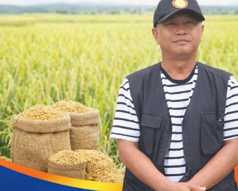 Bulog Sudah Serap Belasan Ribu Gabah Petani Karawang Terdampak Banjir