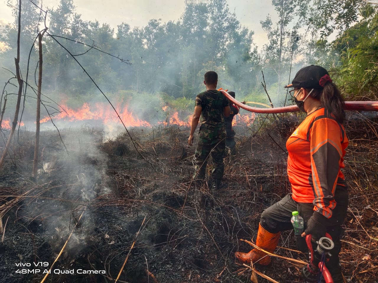 Puluhan Hektare Lahan Barito Terbakar, Dua Titik Api Ditemukan