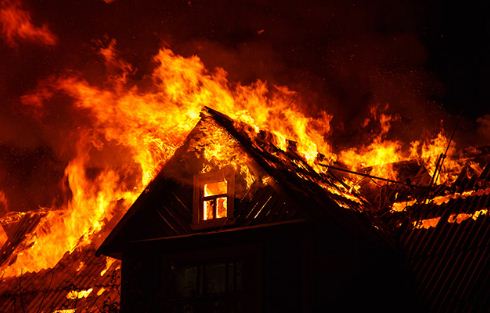 Baru Selesai Dibangun, Kandang Ayam Milik Warga Kampung Setia Negara Ludes Terbakar, Kerugian Capai Rp 2,5 M