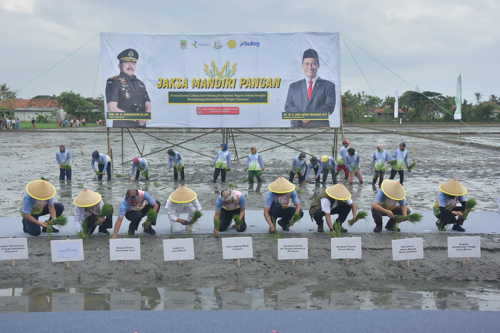 Lahan Sitaan Kasus Asabri di Tambun Utara Bekasi Disulap Jadi Sawah Produktif, Ini Penampakanya...