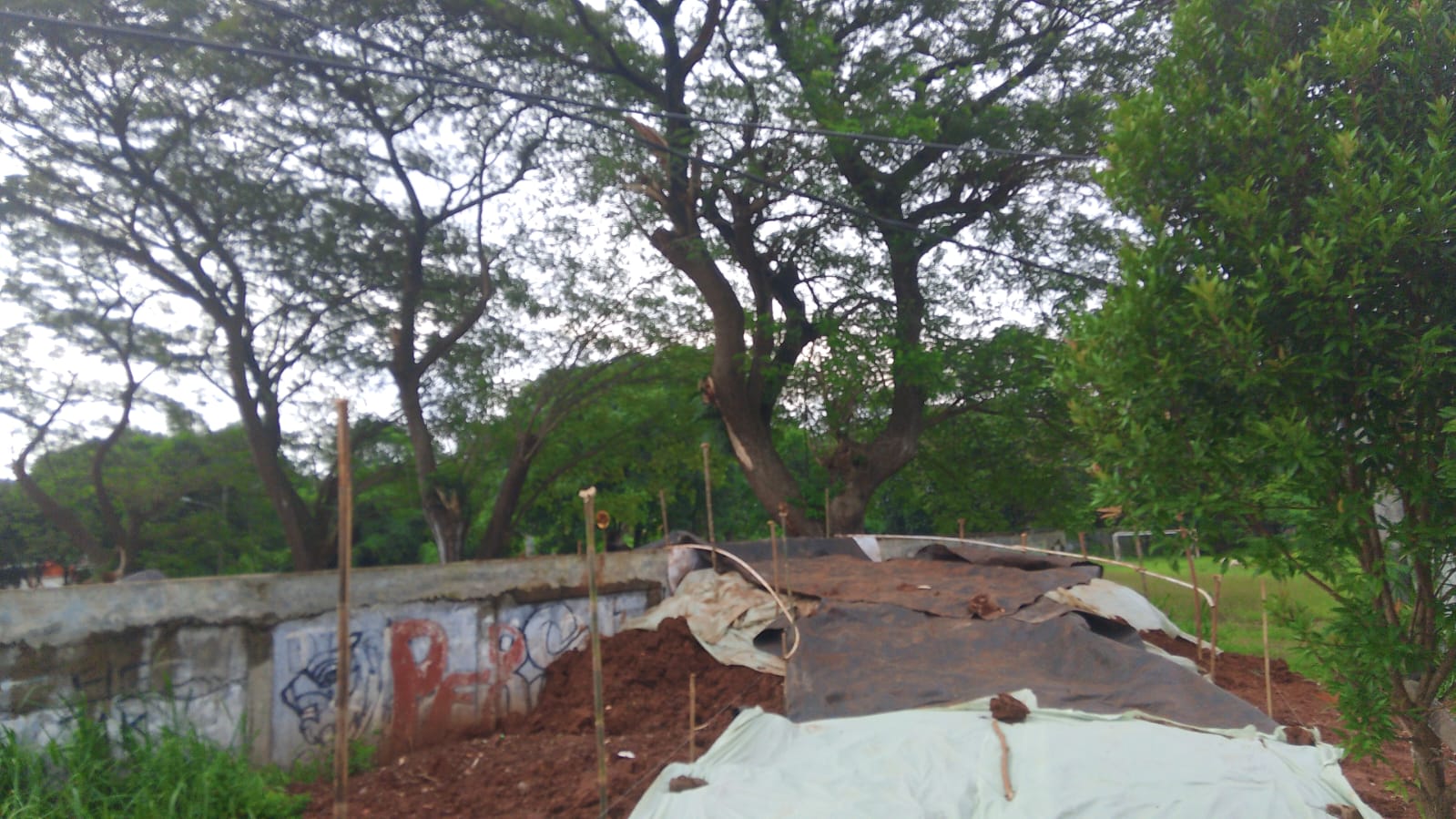 Kabel Listrik Hambat Pembangunan Jalan Alternatif di Purwadana, Warga Harap Respons Cepat PLN