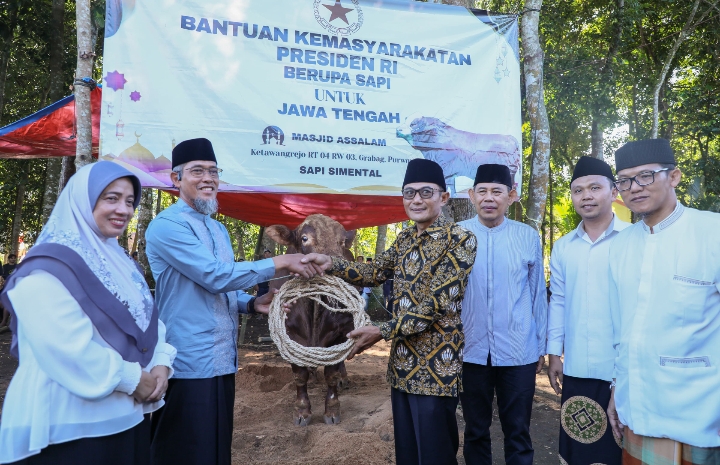 36 Sapi Kurban Presiden RI Dibagi di Jateng, Sekda: Bentuk Apresiasi Peternak Lokal