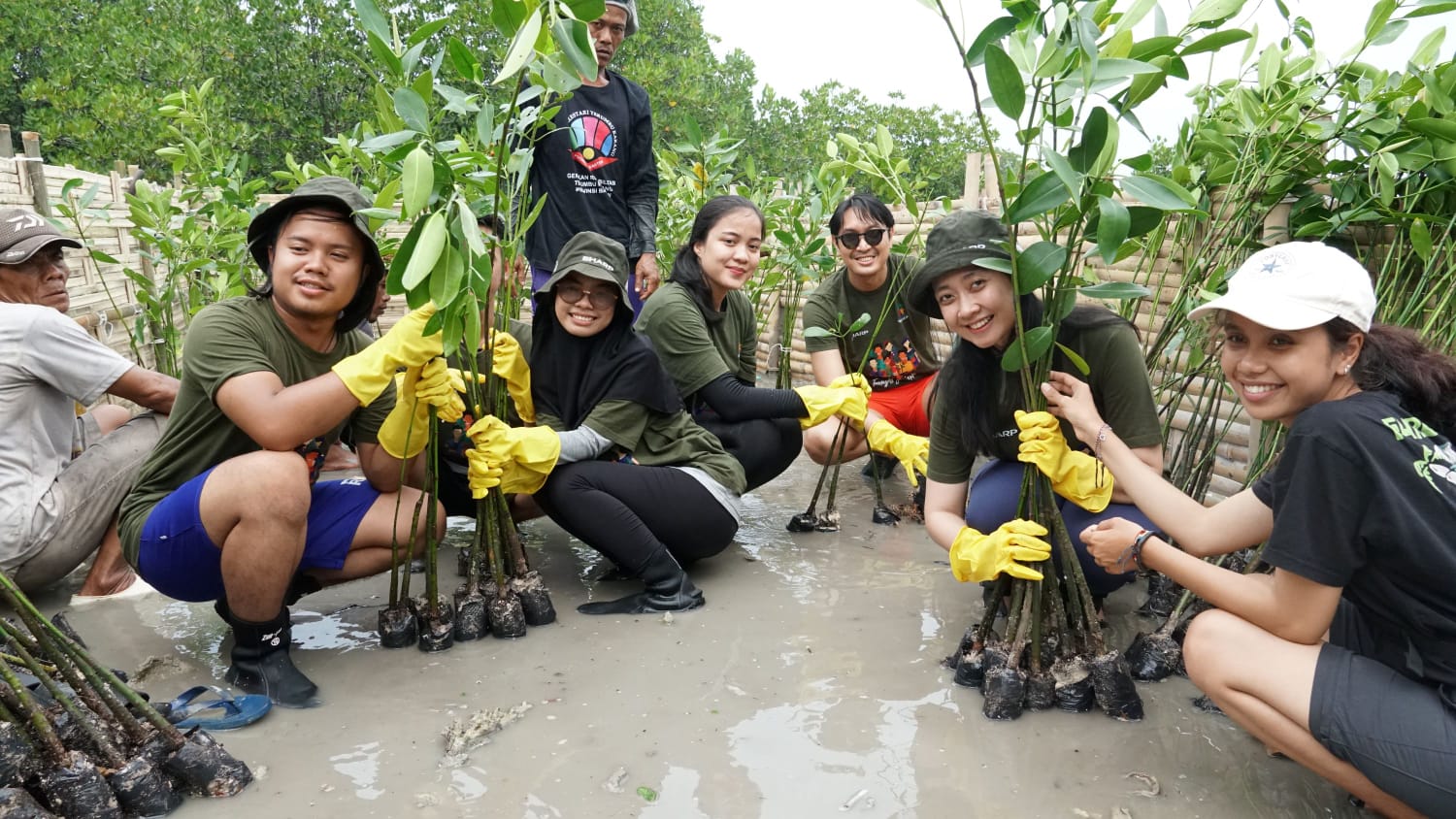 Konsen Isu Lingkungan, Sharp Indonesia Gencar Tanam Mangrove  untuk Rehabilitasi Ekosistem Karbon Biru