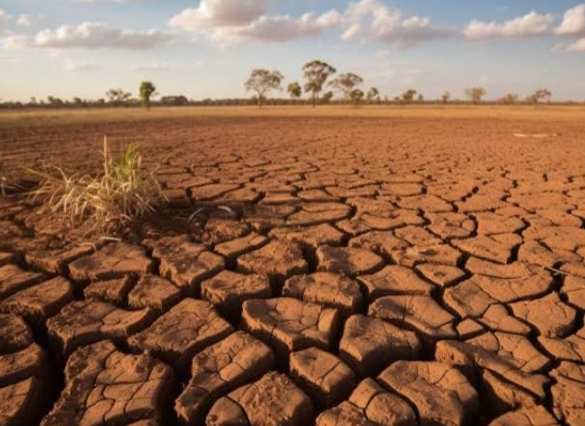 Akibat Dampak El Nino, Warga Seputihmataram Mulai Kekurangan Air Bersih 