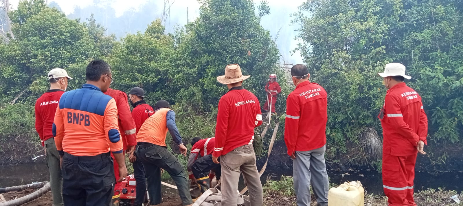 Sudah 120 Hektar Telah Terbakar di Pesisir Selatan, Ternyata Ini Titik Api Pertamanya