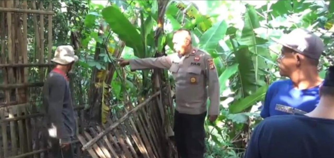 Warga Bekasi Kaget, 5 Kambing Mati Secara Tidak Wajar