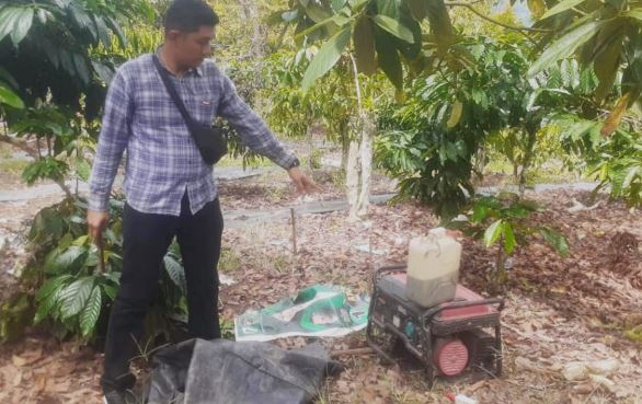 Lima Orang Pemasang Jeratan Babi yang Tewaskan Warga di Lumbok Seminung Diamankan Polisi