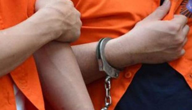 Lecehkan 7 Anak Tetangga, Kakek Berusia 54 Tahun Ditangkap