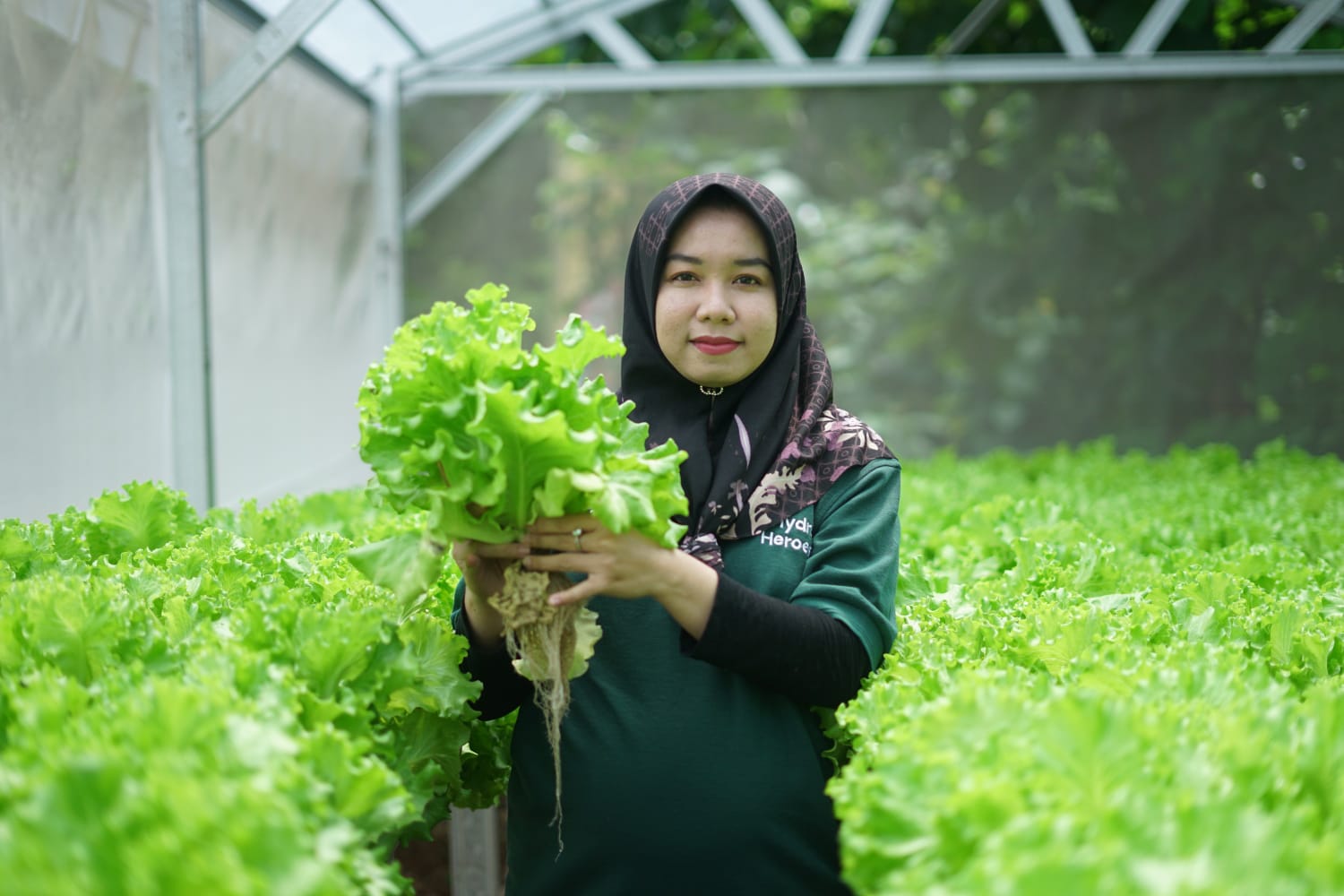 Sharp Hydro Heroes Sukses Ciptakan Petani Muda Berkelanjutan