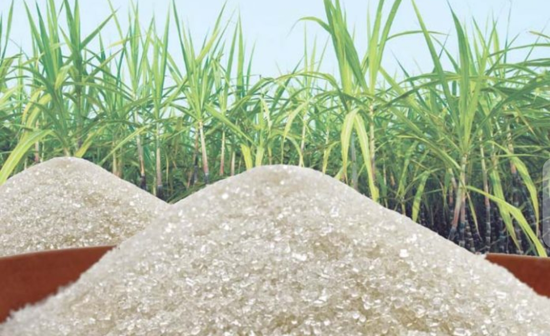 Pemerintah Targetkan Produksi Gula Nasional 3 Juta Ton pada 2026