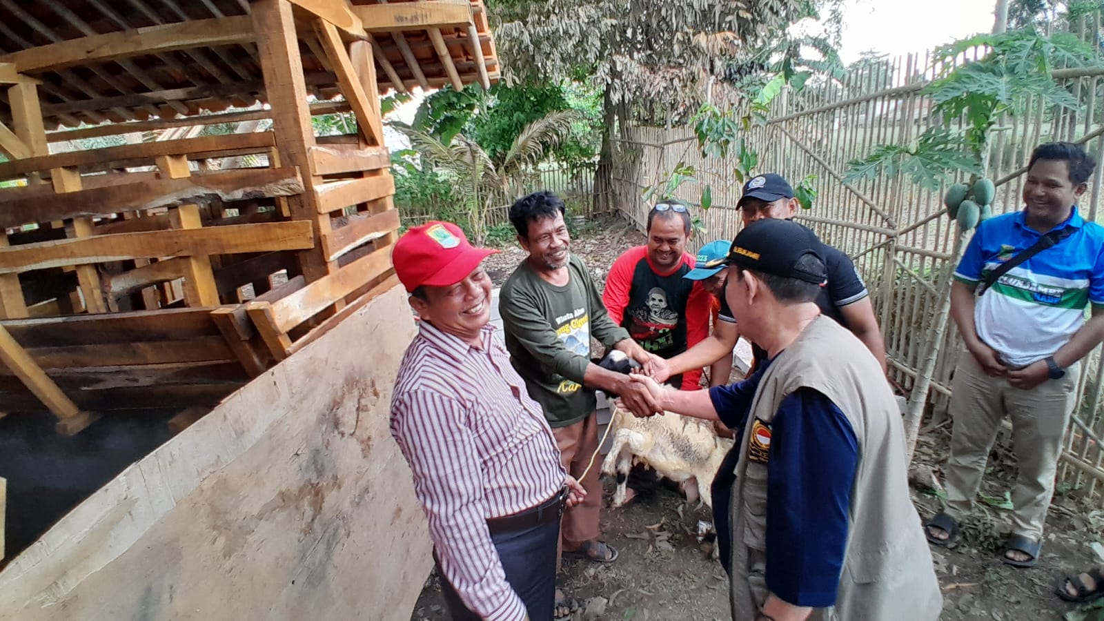 Pemerintah Desa Telukjambe Perkuat Ketahanan Pangan Melalui Penggemukan Domba