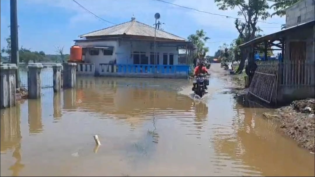 Proyek Giant Sea Wall Prabowo Belum Dibangun-bangun, 5 Desa Muaragembong Tergenang Banjir Rob Lagi