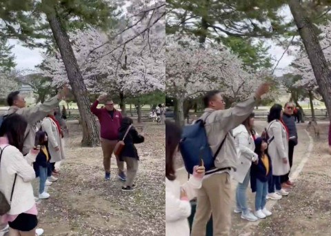 Viral Turis Indonesia Rusak Pohon Sakura di Jepang,  Simak 10 Tips Ini untuk Menjadi Turis yang Baik