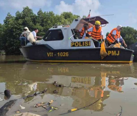 Mantap Nih, Menteri LH Pimpin Aksi Bersih Hutan Bakau di Muaragembong