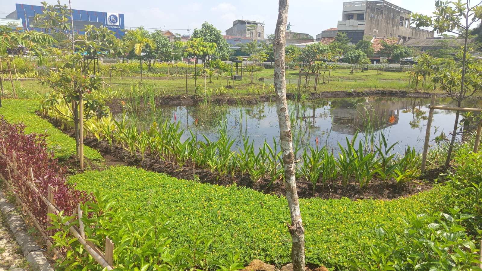 Pesona RTH Rengasdengklok, Jadi Paru-Paru Kota Berkonsep Embung 