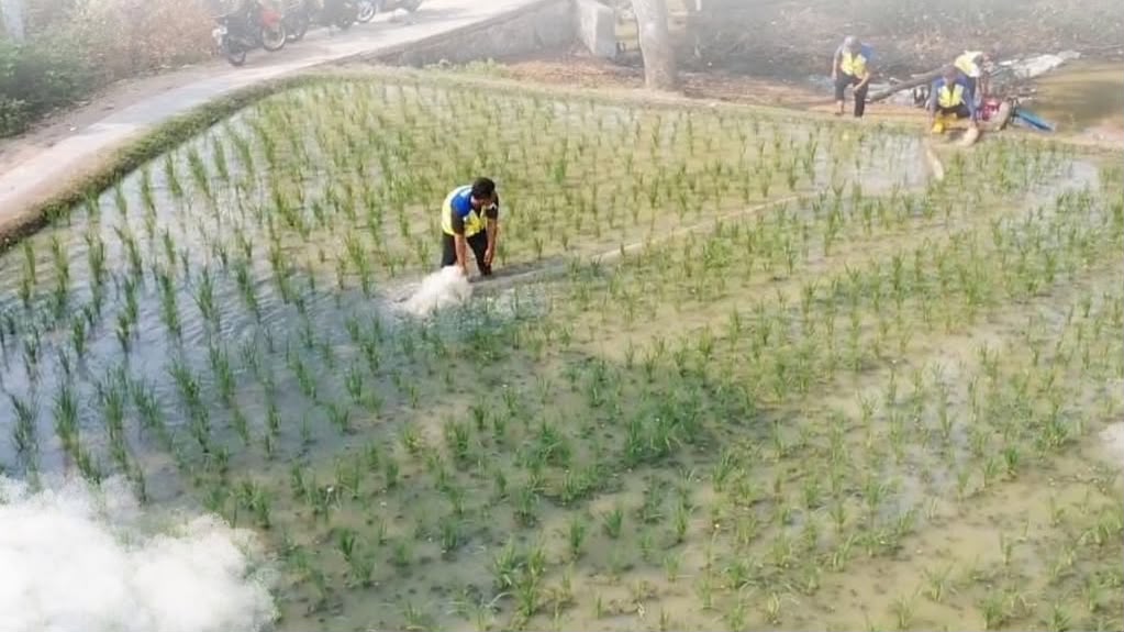 Kemarau Panjang, Petani di Kabupaten Bekasi Pompa Air Siang Malam Selama 40 Hari  Habis  300 Liter Solar