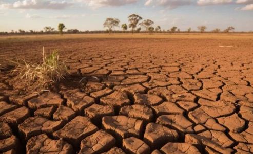 Kemarau Panjang, Ratusan Hektare Sawah di Karawang Alami Kekeringan