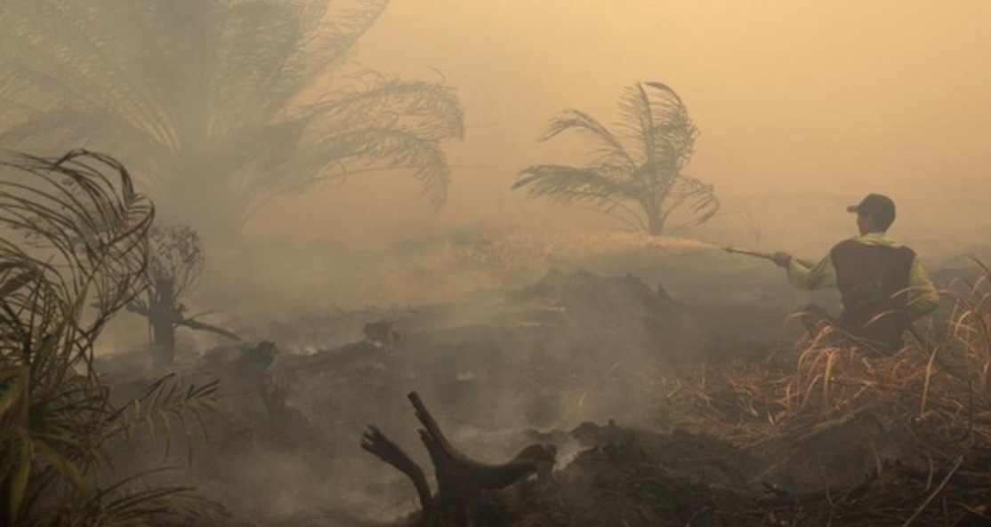 Kabut Asap Karhutla Kalimantan Capai Manila, Kualitas Udara Tembus Level Sangat Berbahaya