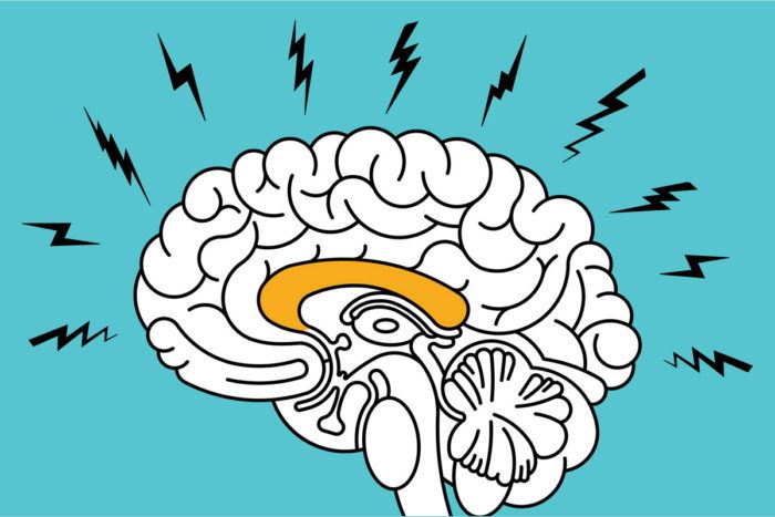 Cell Anxiety, Kuliah Biologi Molekuler Singkat Bareng Mahasiswa Farmasi Unsika