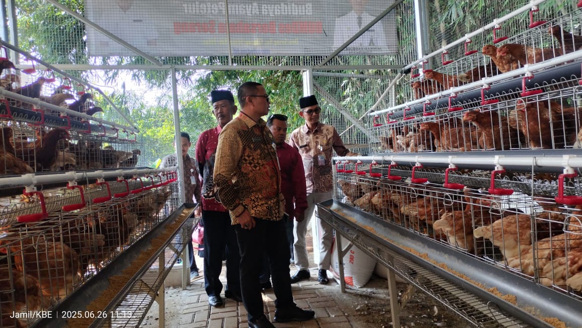 Dukung Program Ketahanan Pangan, Pemdes Serang Resmikan Budidaya Ayam Petelur 