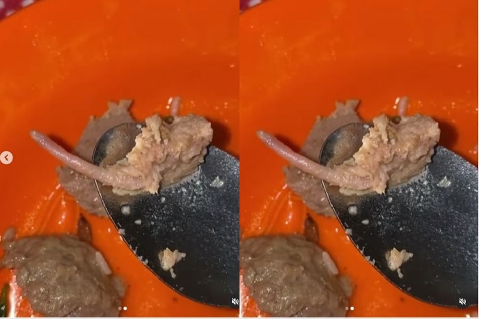 Viral TikTokers Tuduh Pedagang Bakso Ronggolawe Surabaya, Inilah Ciri Bakso Daging Tikus yang Harus Kamu Tahu