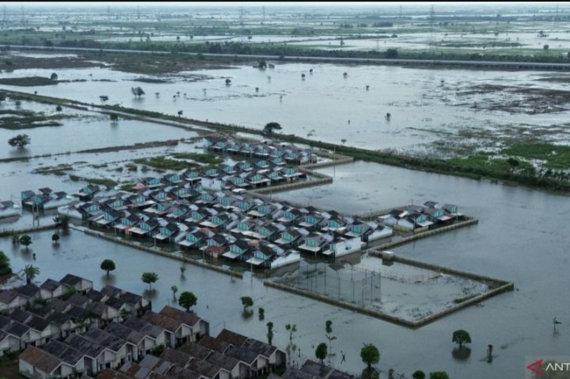 Ribuan Hektare Sawah di Bekasi Terdampak Banjir