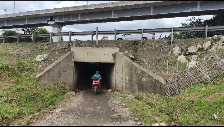 ''Terowongan Sapi'' Jalur Vital yang Terabaikan di Tengah Geliat Industri Cikarang