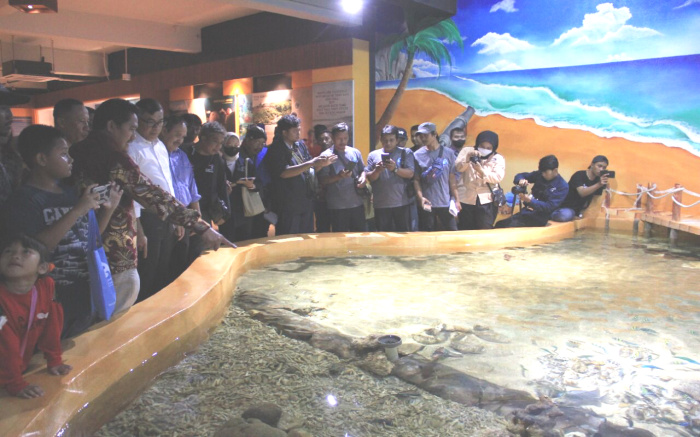 Aquarium Indonesia Pangandaran Wisata Edukasi Alternatif, Tarif Masuk Terjangkau