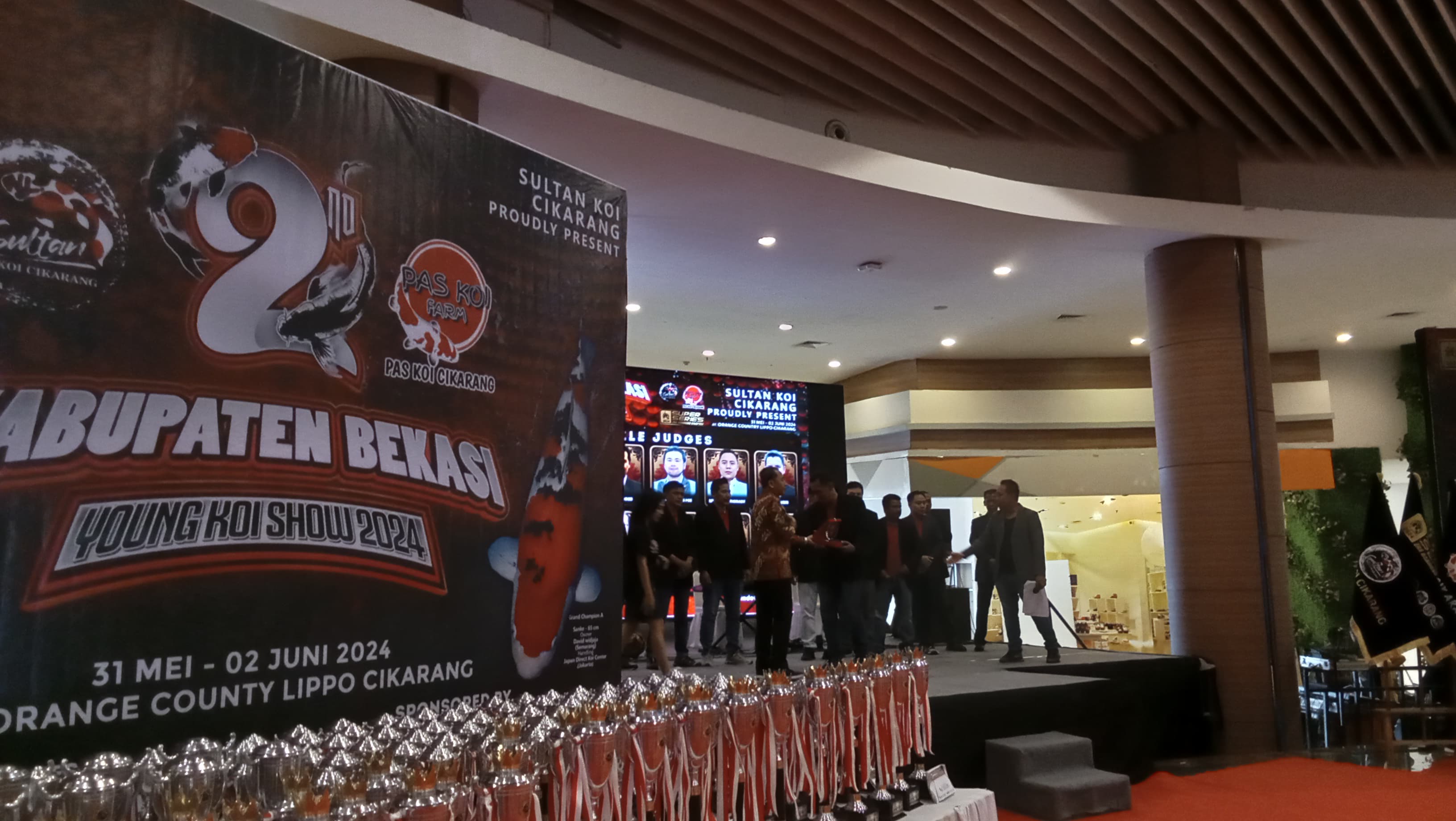 Sultan Koi Cikarang Sukses Gelar 2nd Kabupaten Bekasi Young Koi Show 2024