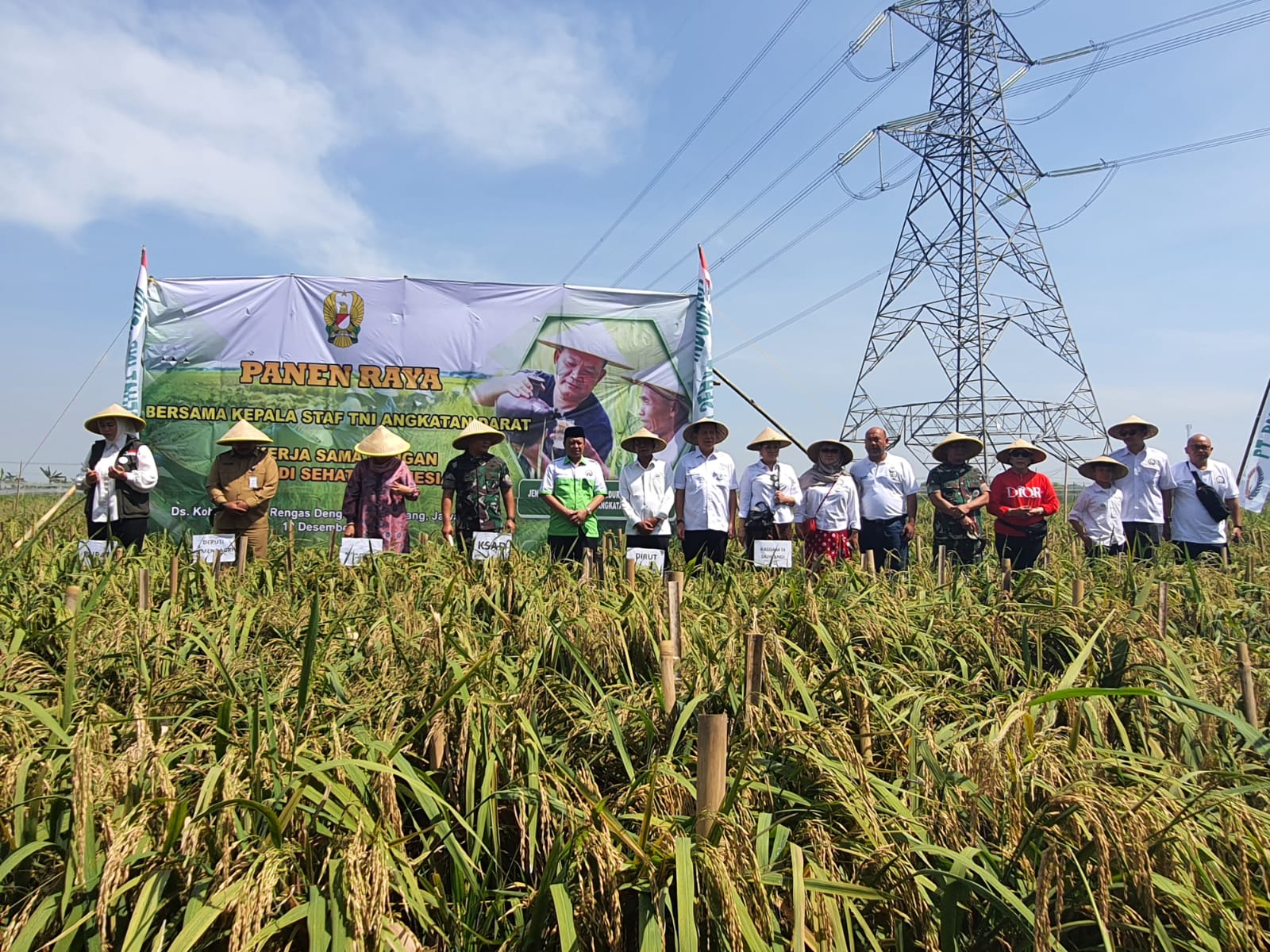 Jenderal Dudung Turun ke Sawah, Karawang Kelebihan Beras 300 Ribu Ton, Siap Kirim ke Daerah Lain