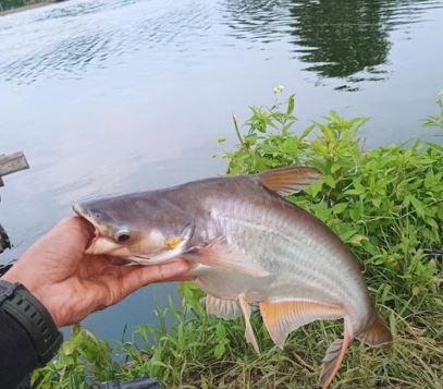 Rekomendasi 10 Spot Mancing Menarik 2026 di Cikarang