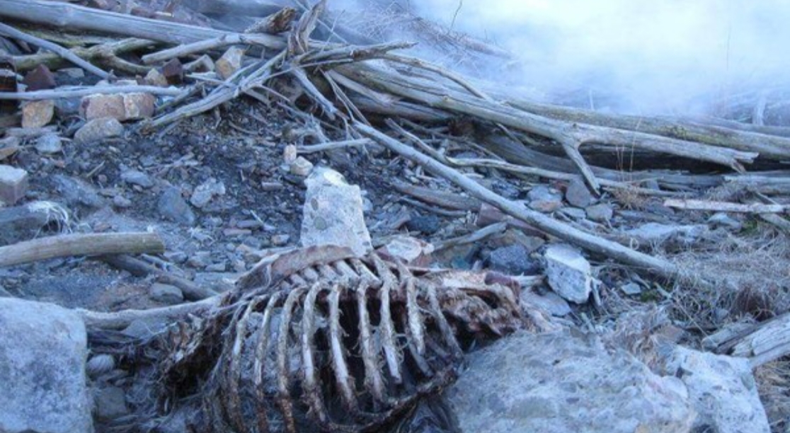 Centralia, Kota Mati di Amerika yang Terus Terbakar Selama Puluhan Tahun