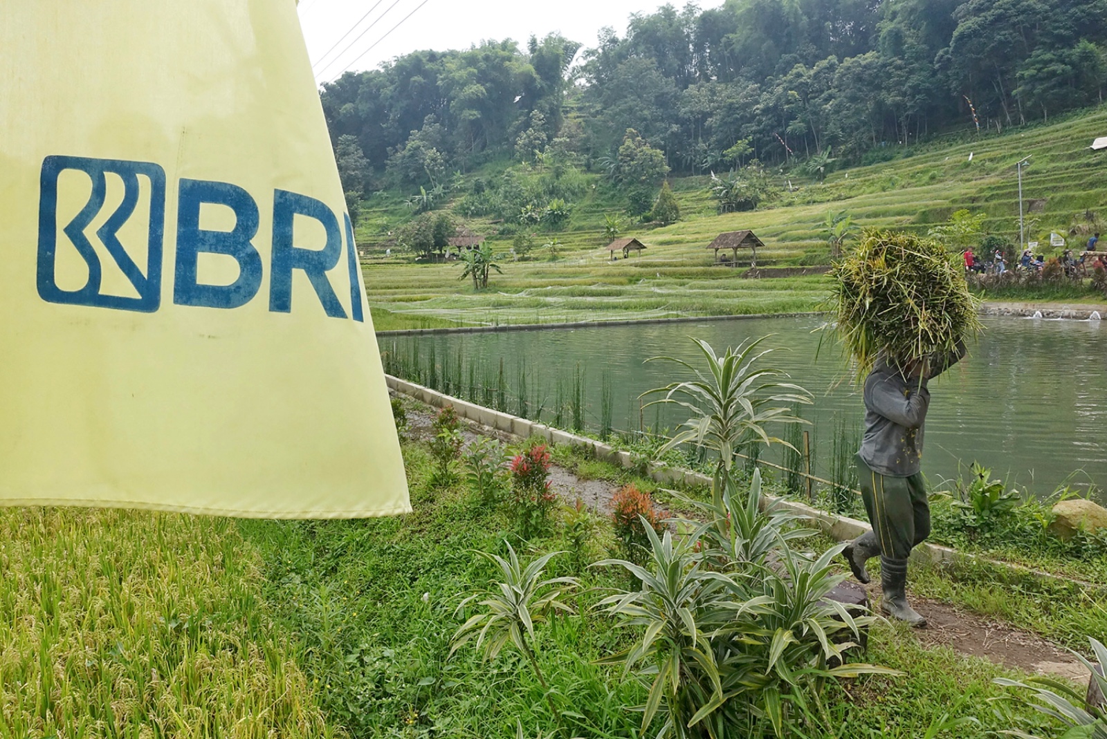 5 Komitmen Nyata BRI Dorong Peningkatan Kualitas dan Daya Saing UMKM