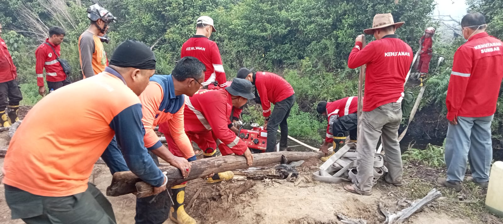 Karhutla yang Hanguskan 8 Ha Lahan, Status Siaga Darurat Selama 6 Bulan