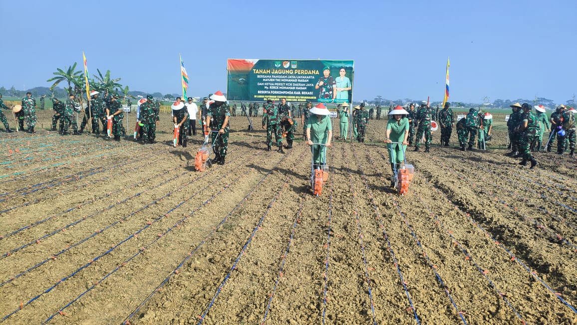 Pangdam Jaya Tanam Benih Jagung Serentak di Lahan Pertanian Korem 051 Cibitung 