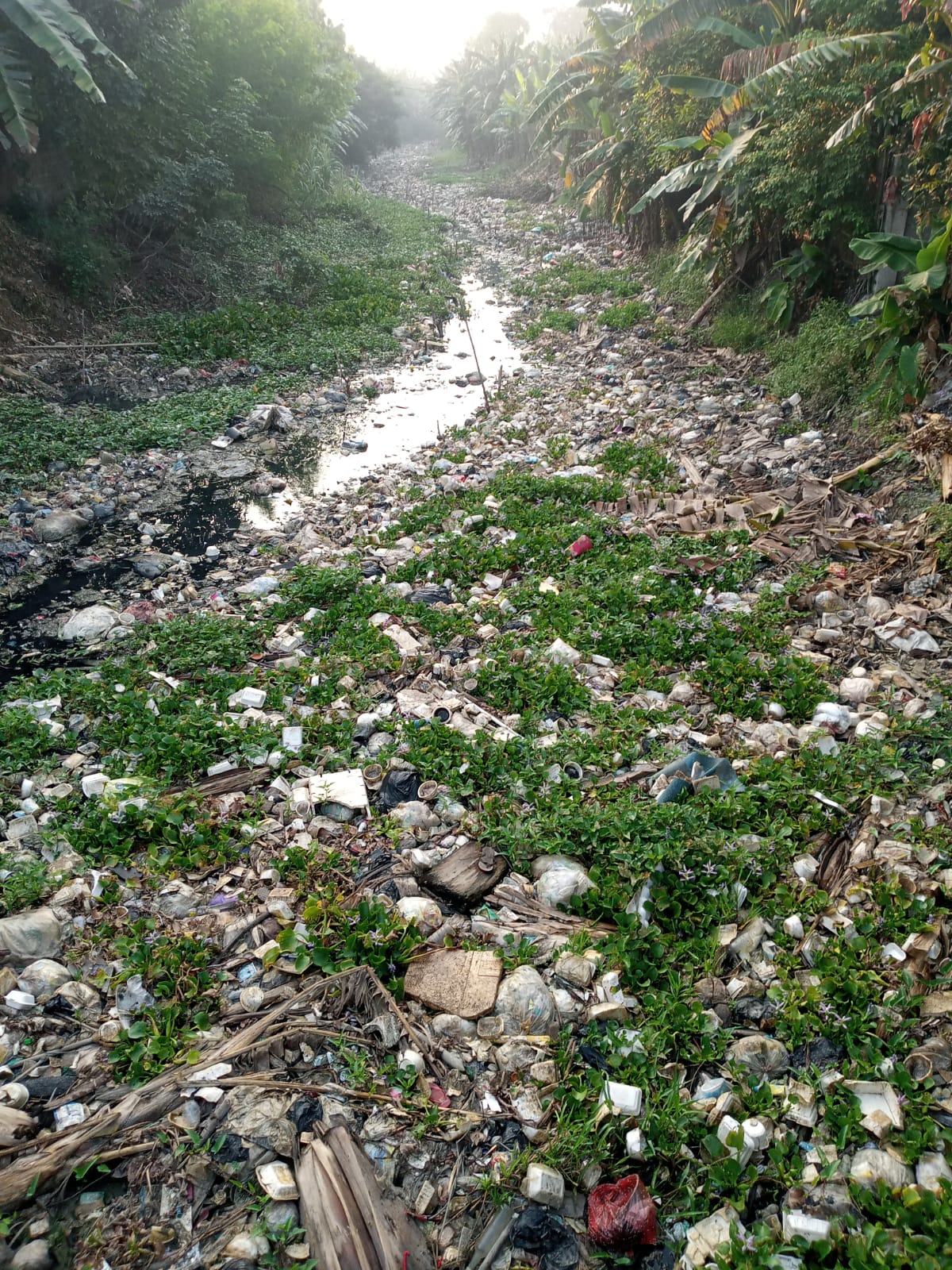 Tumpukan Sampah Mengular di Irigasi Srengseng Hilir, Ratusan Hektar Sawah Mulai Kekeringan di Utara Bekasi